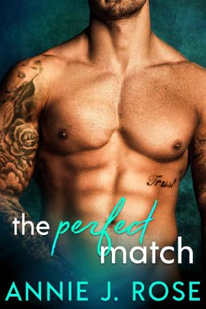 [Sinful Desires 02] • The Perfect Match · Ein Liebesorman